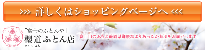 ڂ̓VbsOy[W